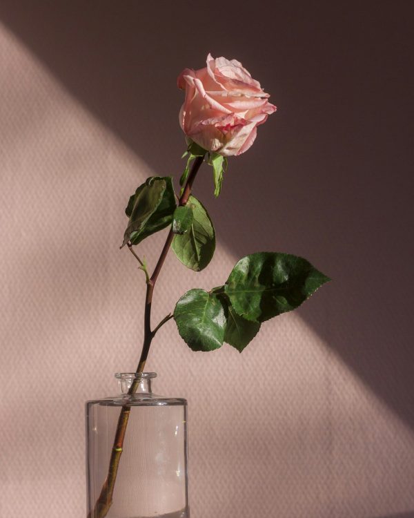 Love Letter